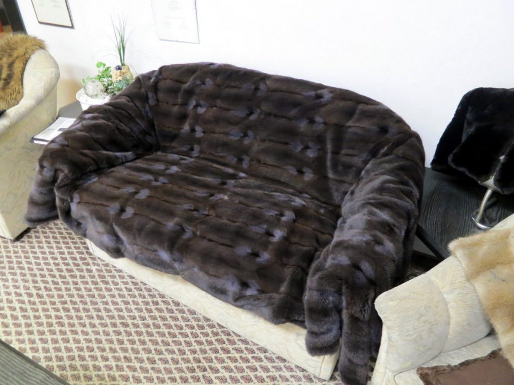 Pelzdecke Hamster blau gefärbt auf der Couch.