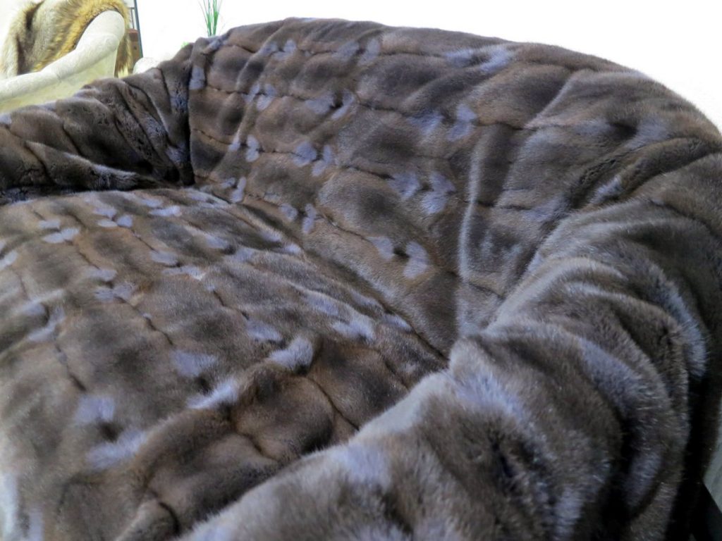 Pelzdecke Hamster blau gefärbt auf der Couch.