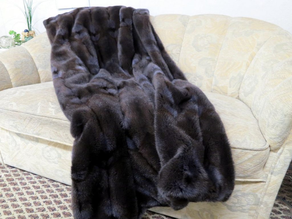 Pelzdecke Hamster blau gefärbt auf der Couch.