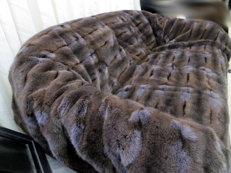 Pelzdecke Hamster blau gefärbt seitlich auf der Couch.