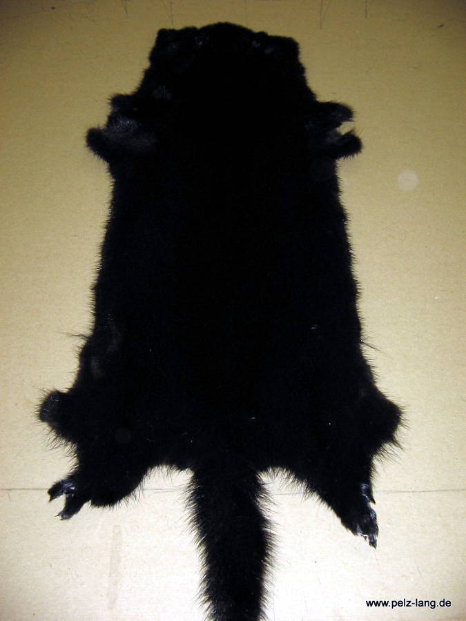 Ein abgezwecktes Nerzfell von der Haarseite.