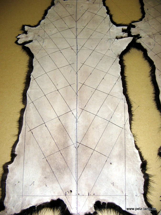 Die Haargrenzen im Kreuz