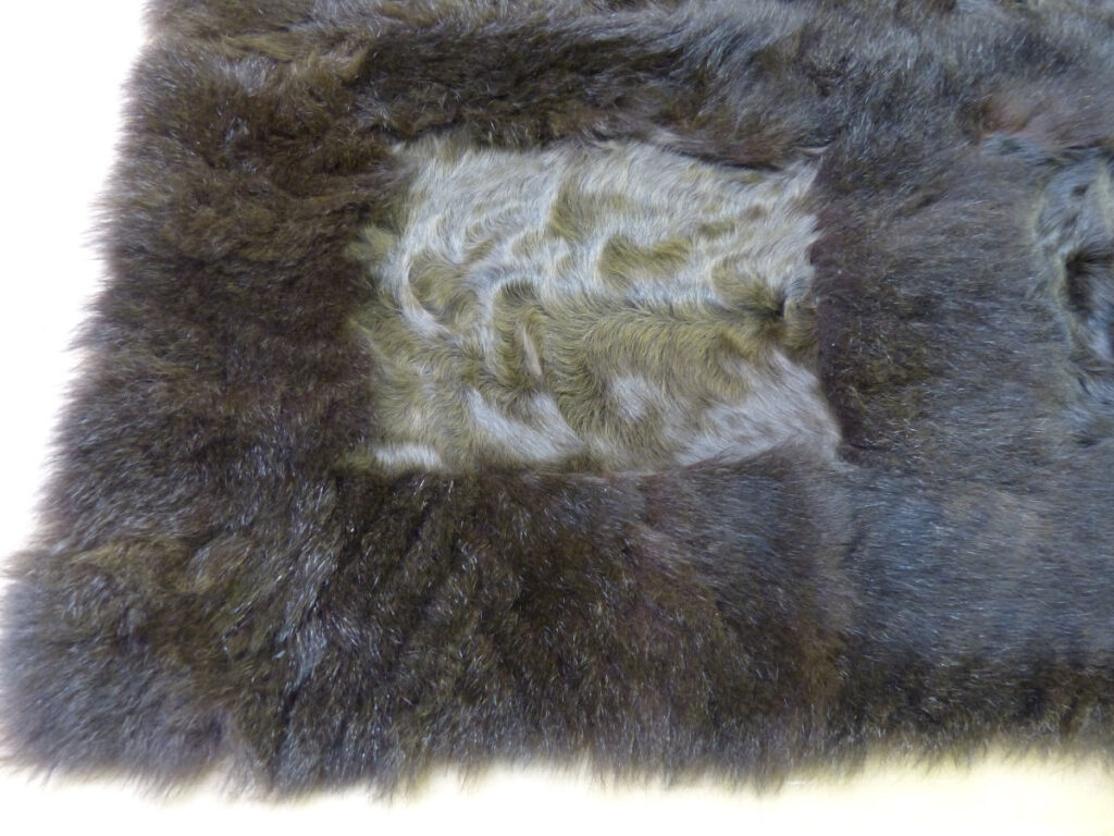 Pelzdecke Opossum Kid eine Ecke.