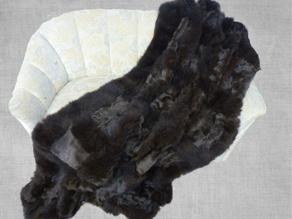 Pelzdecke Opossum Kid auf der Couch