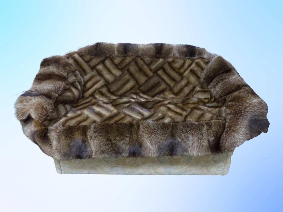 Pelzdecke Bisam Waschbär auf der Couch