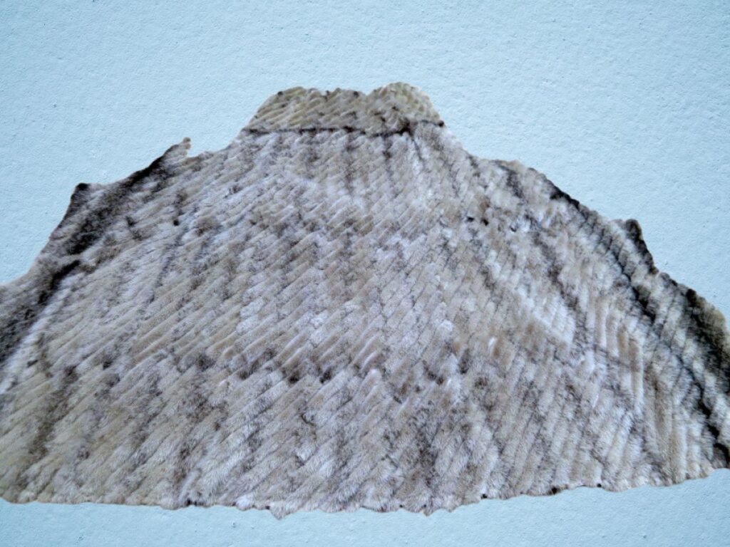 Nach dem die Streifen entfernt wurden die gallonierten Teile wieder zusammen genäht.